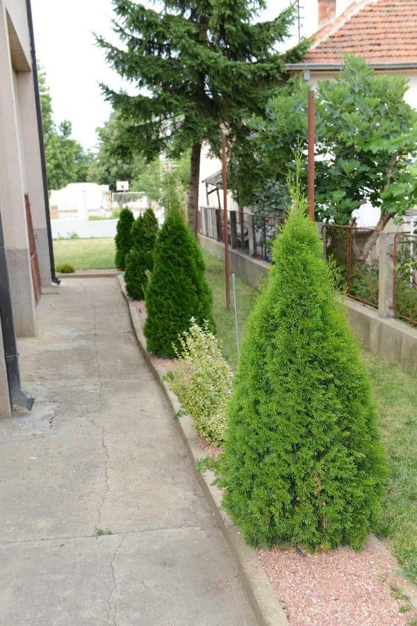 Prenociste-Vila Tasic Vranje Exterior photo